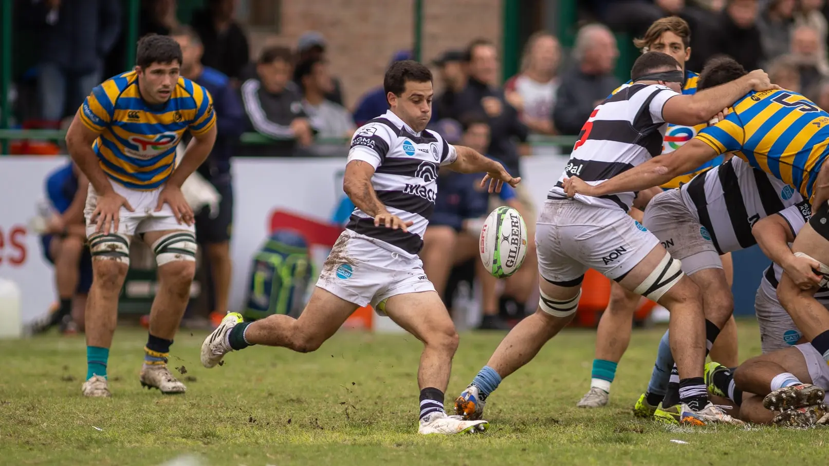Newman-Alumni y CASI-Hindú semifinalistas del URBA Top 14 Copa Macro presentada por Zurich